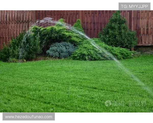草坪底部灌溉系统对根系的影响